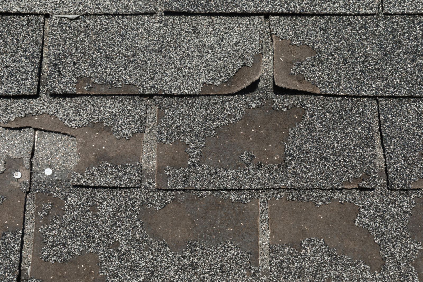 Sierra Exteriors Images